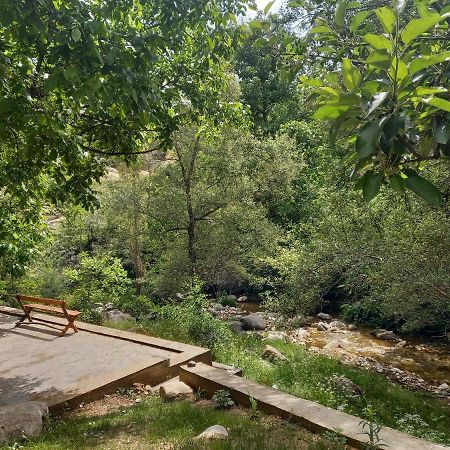 Forest Guest House Mirzakishlak Exterior photo