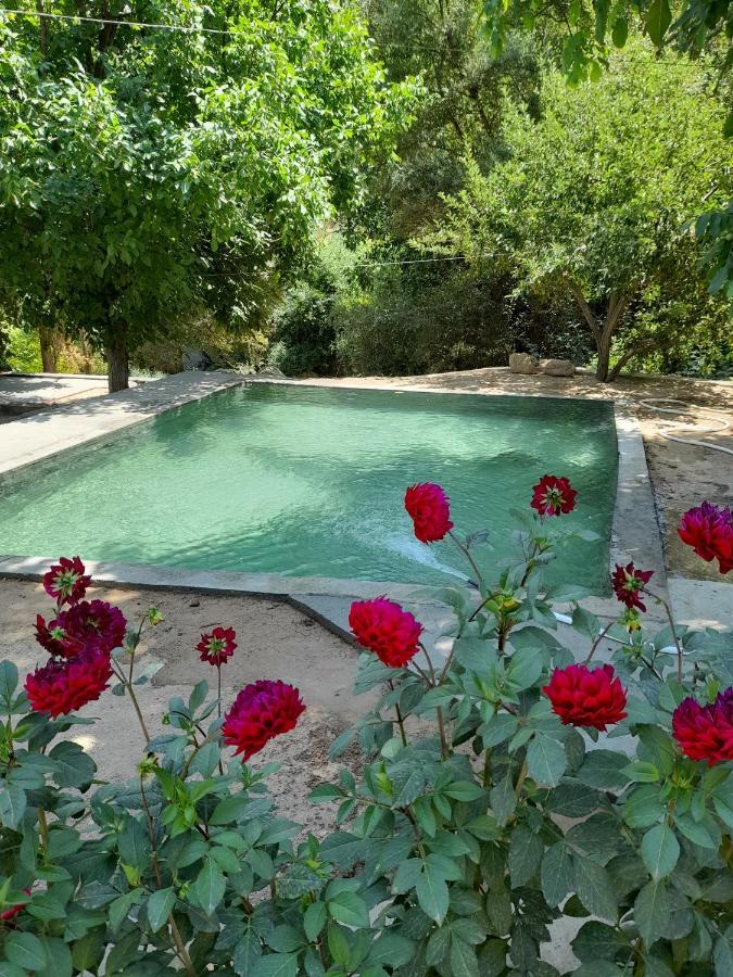 Forest Guest House Mirzakishlak Exterior photo