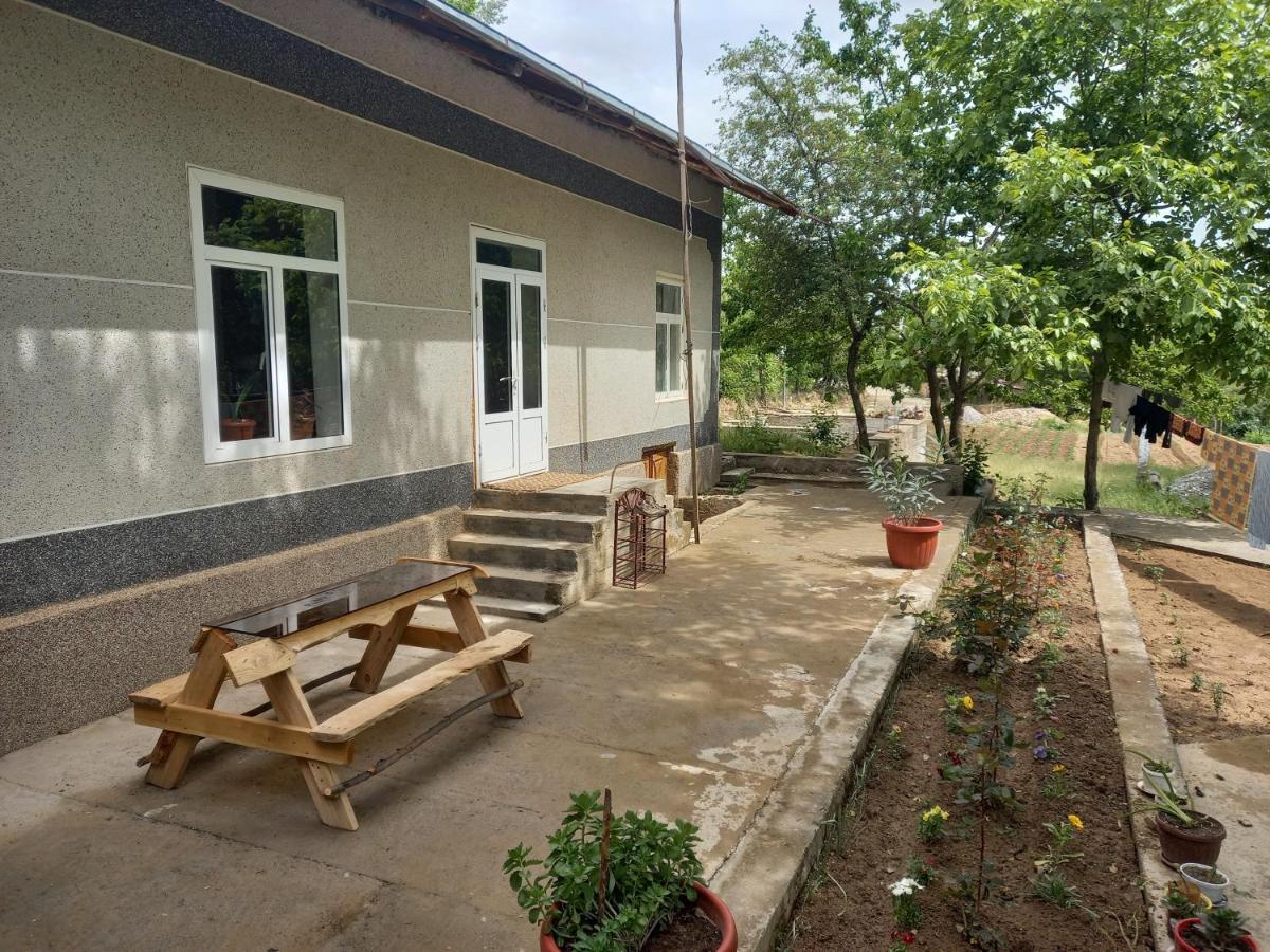 Forest Guest House Mirzakishlak Exterior photo