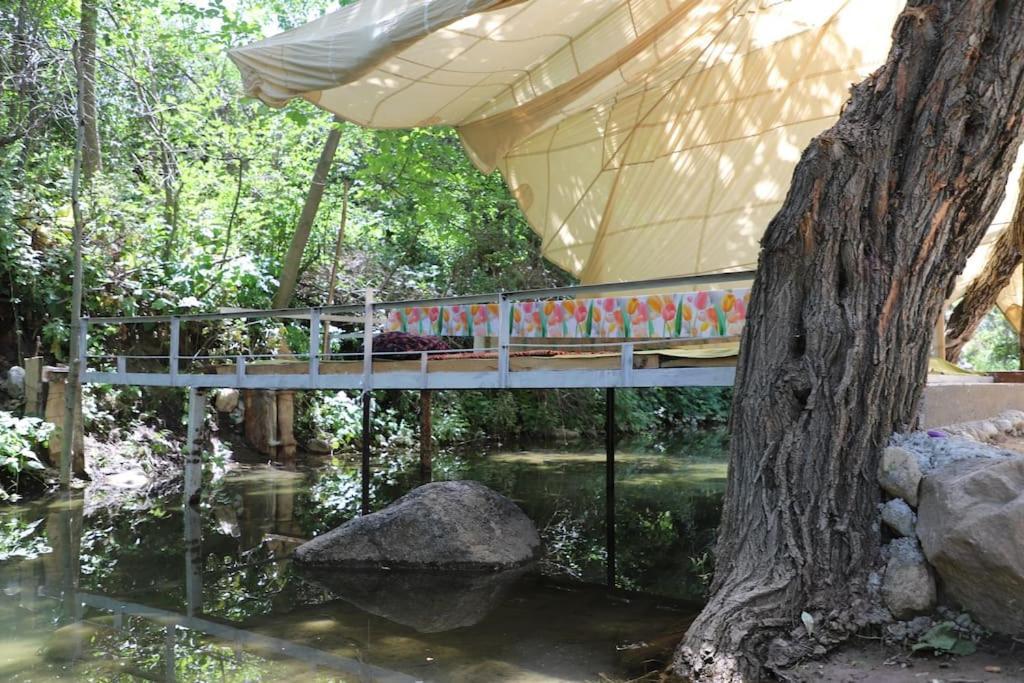 Forest Guest House Mirzakishlak Exterior photo