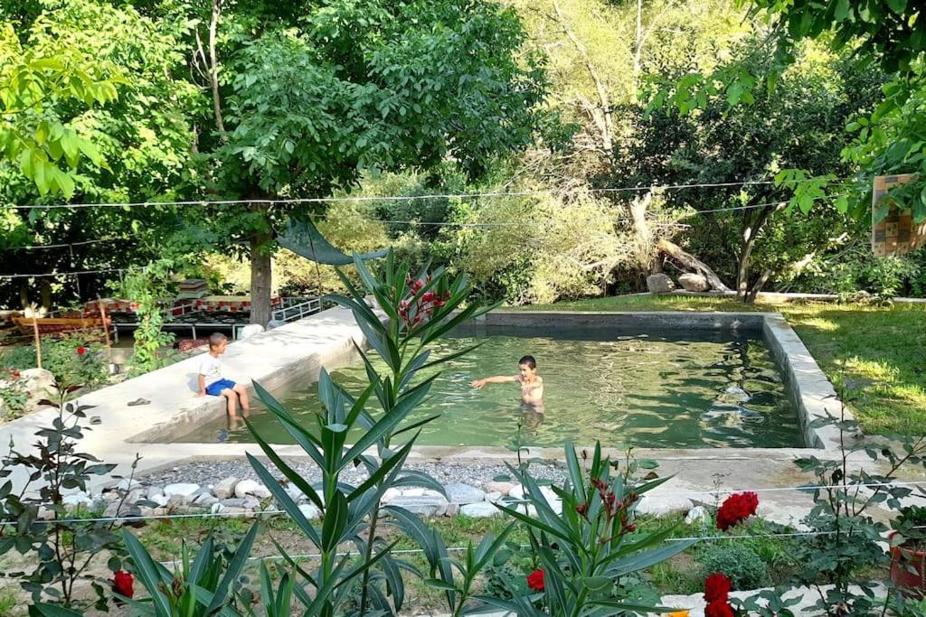 Forest Guest House Mirzakishlak Exterior photo